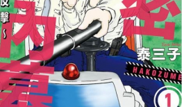 女警 漫画,漫画中的正义守护者