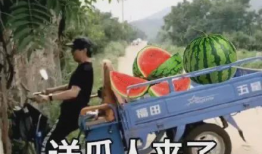 2021娱乐圈吃瓜不断,瓜田李下，明星风云录